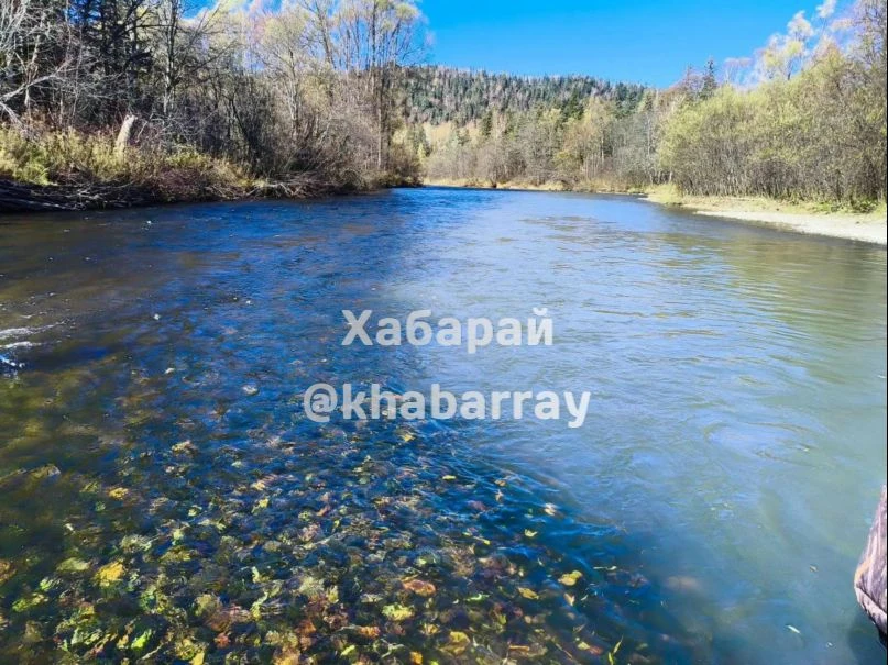 В реке Хор обнаружили загрязнение