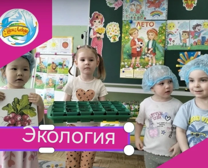 Огород на подоконнике🧅 🥕»  в группе «Непоседы».🤗