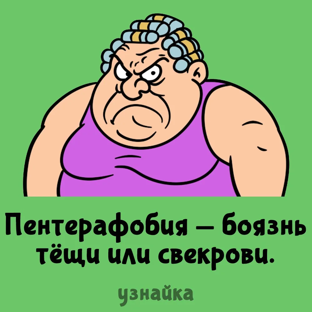 Как можно их не бояться?😱