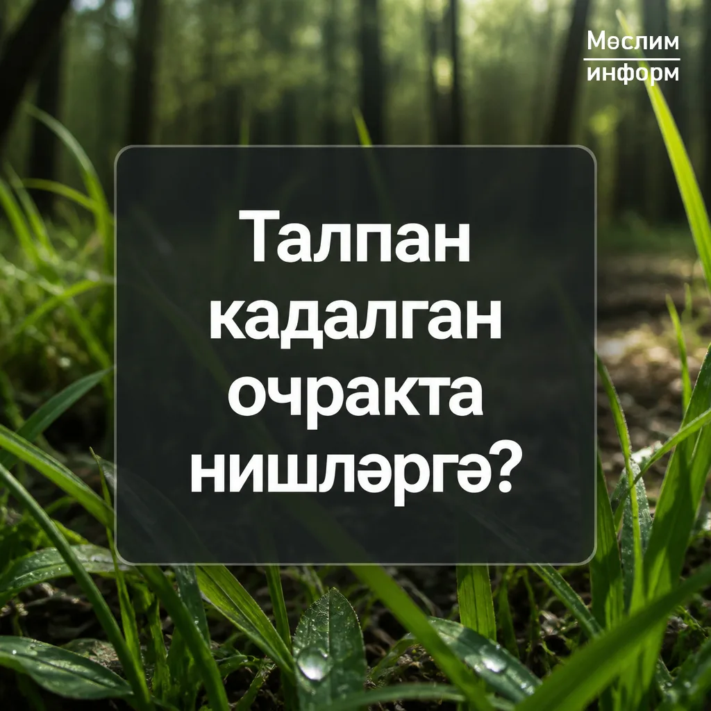 Талпаннар талпан энцефалиты, боррелиоз кебек хәвефле авыруларны тарата ала. Үзегезне һәм якыннарыгыз