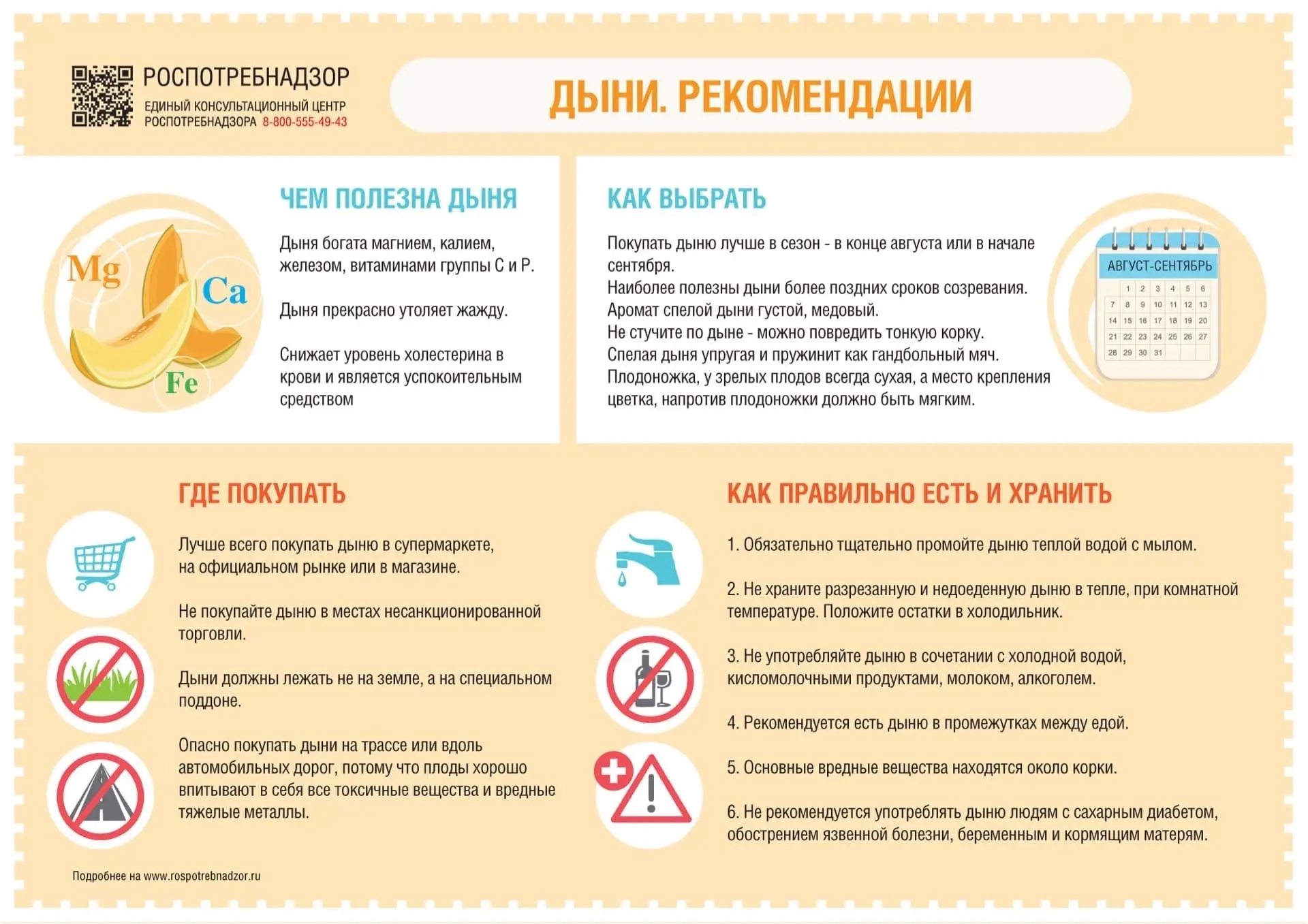 🍈 Дыня — популярный и полезный продукт: она насыщена магнием, калием, железом, витаминами группы С 