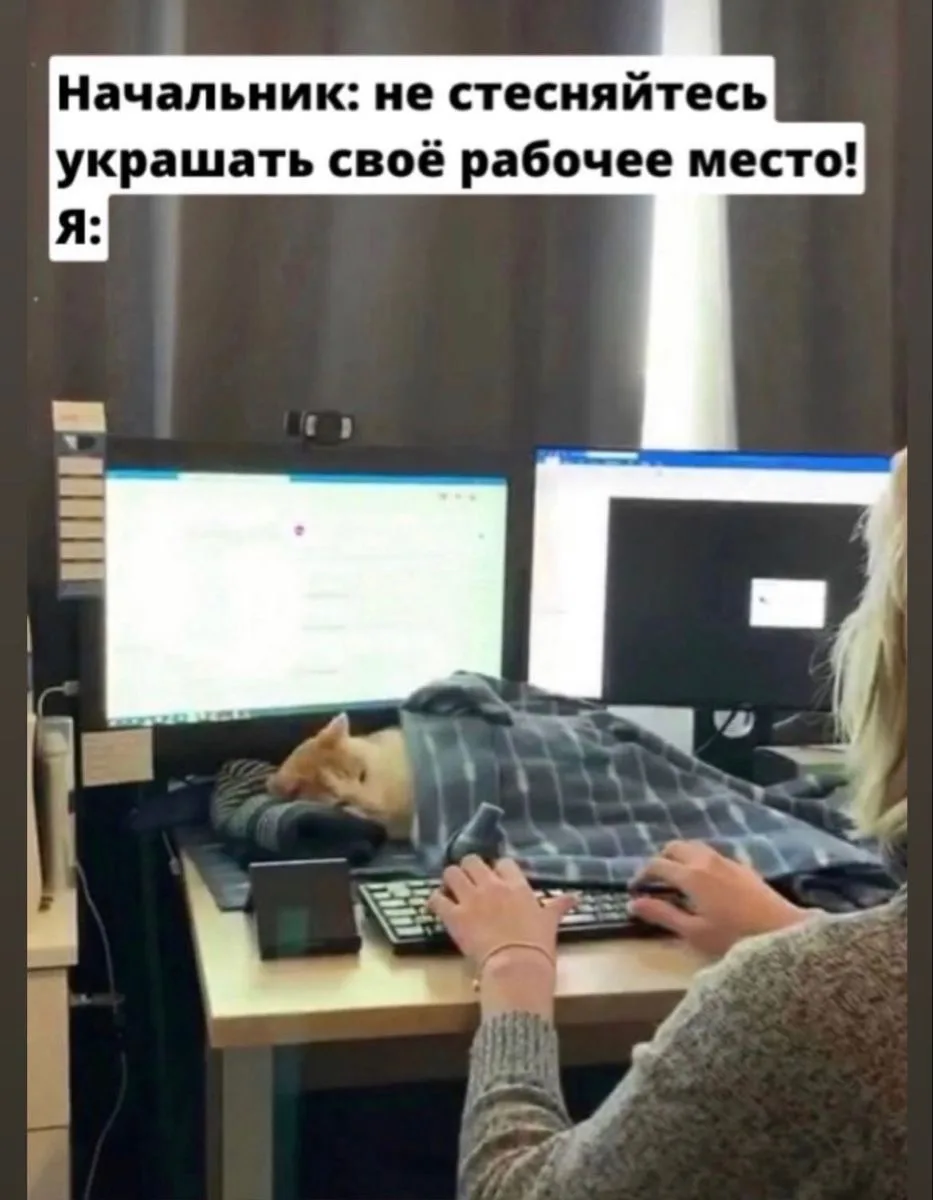 3 августа 

доходы:
0

расходы:
393 - контейнеры на работу 
574 - продукты 
800 - связь 
3 730 - кор