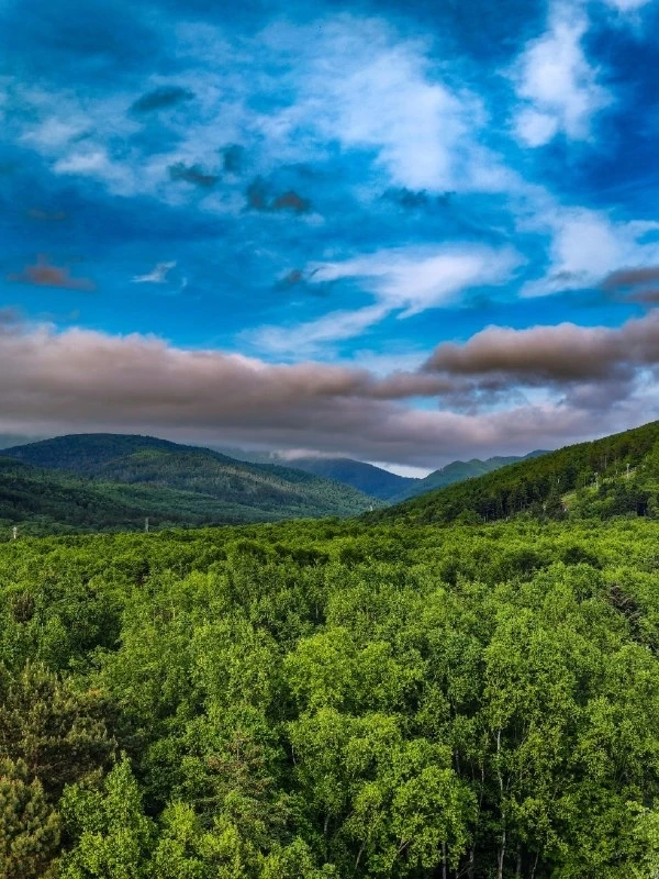 С высоты от Гагарин парка 🌳 
Автор: 📸 @Sakhalin65_Ostrov

 Подпишись на Южно-Сахалинск📲