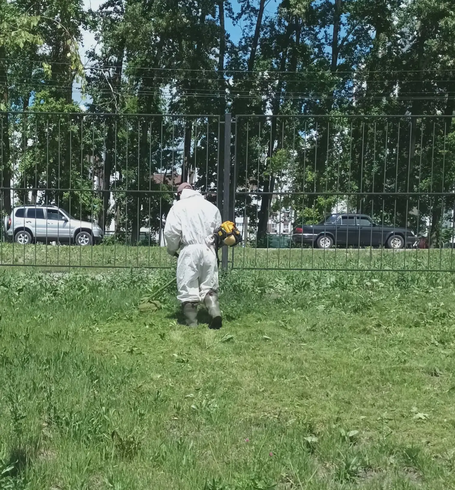 Чистая пятница в МБУ ДО СШ по зимним видам спорта г. Пензы,  СЛК,,ХРУСТАЛЬНЫЙ,,. Моем, косим, цветы 