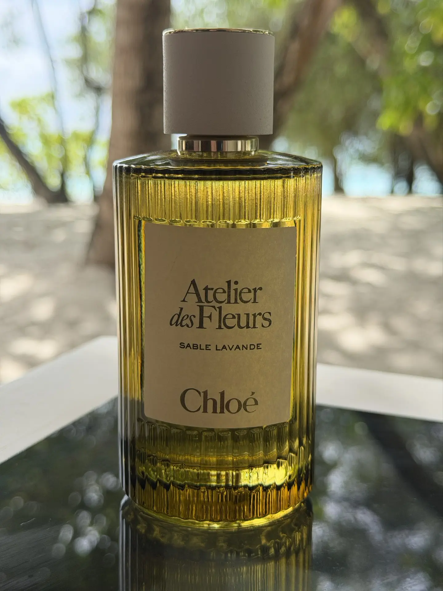 🤎 Chloé Atelier des Fleurs Sable Lavande — новинка 2026 года, в которой лаванда раскры...