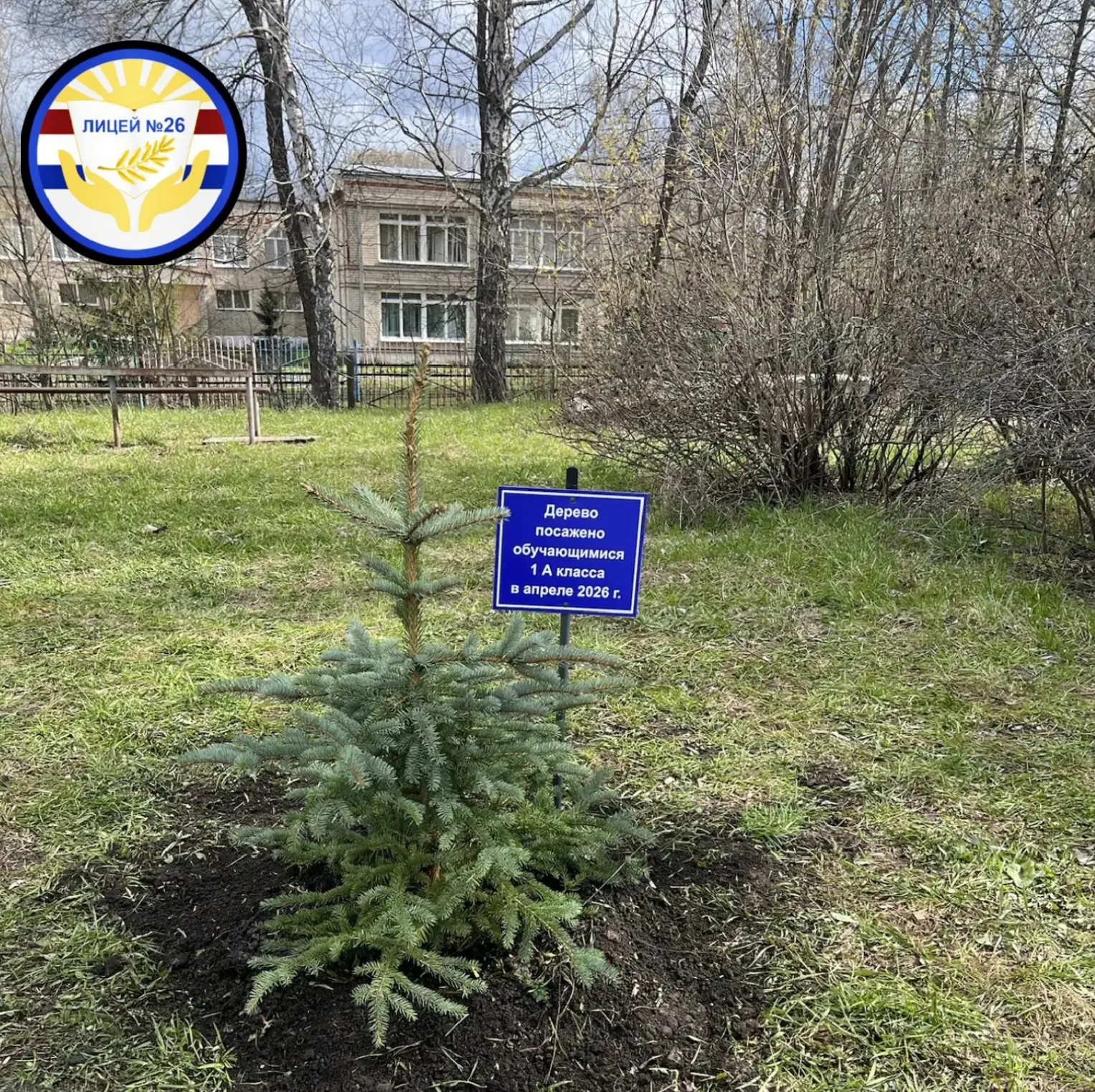 🌿Зелёный след первого "А"🌿  ✅30 апреля обучающиеся 1«А» класса вместе с классным руководителем М. А.
