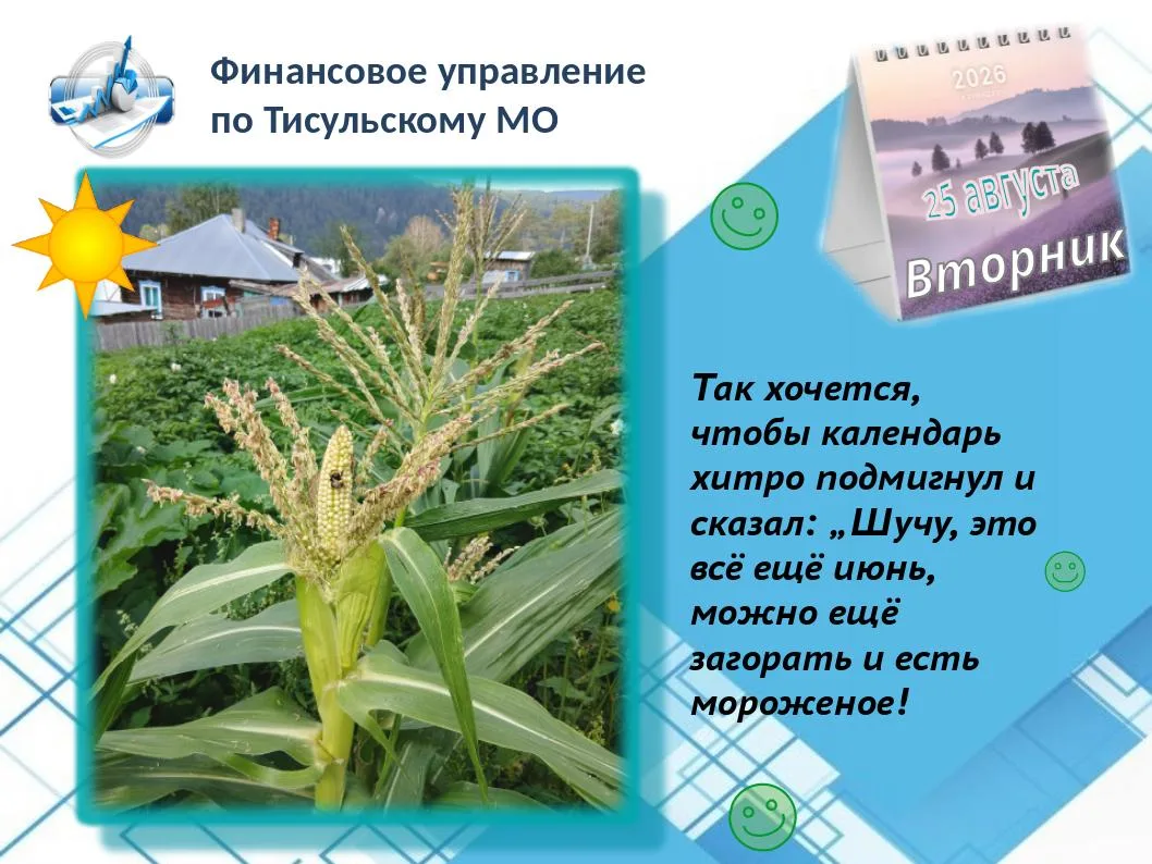 🧐 Август — это такой хитрый месяц: он вроде бы ещё лето, но уже делает намёки, что пор...