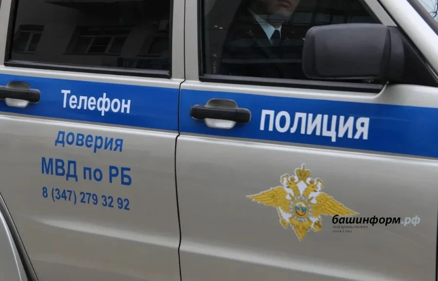 В Уфе из окна выбросили двух кошек