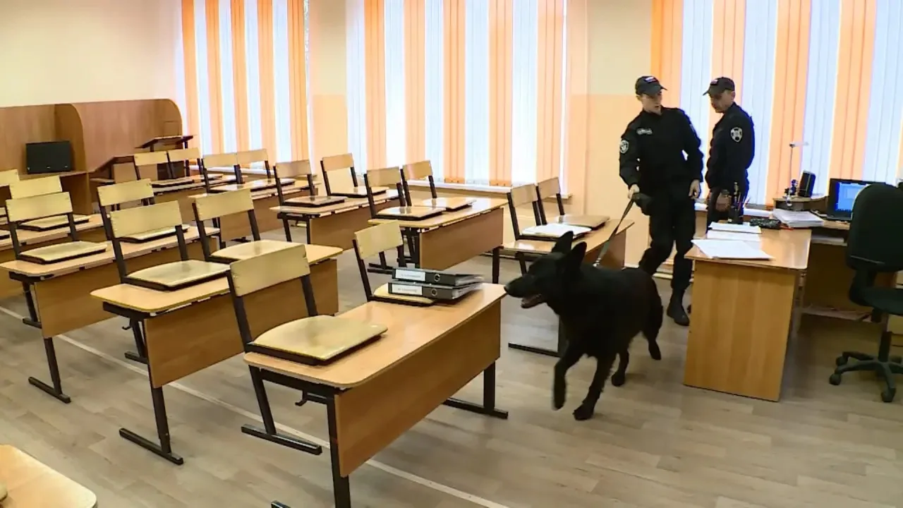 18–19 августа в школах и детских садах России (в том числе, и в Амурской области) пройд...