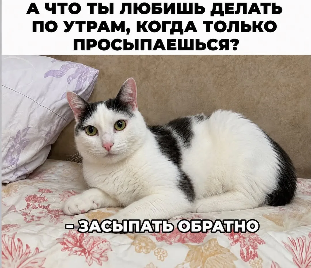 ☀️ Доброе утро, Бурятия!