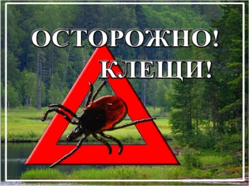 Профилактика укусов клещей осенью