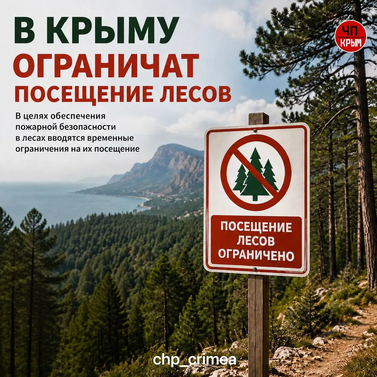 🌲 С 22 июля в Крыму ограничат посещение лесов