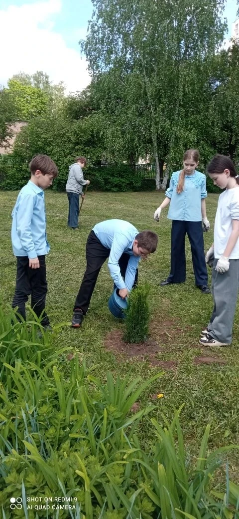 Ученики 4-х классов посадили туи в школьном дворе в знак окончания начальной школы 💚🌱Туи будут как з