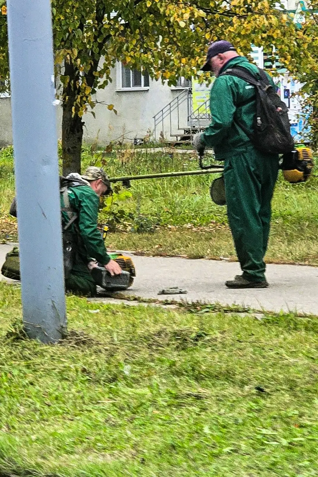 🔥На улице уже ОСЕНЬ, деревья сбрасывают последнюю листву, народ достает пуховики... но...