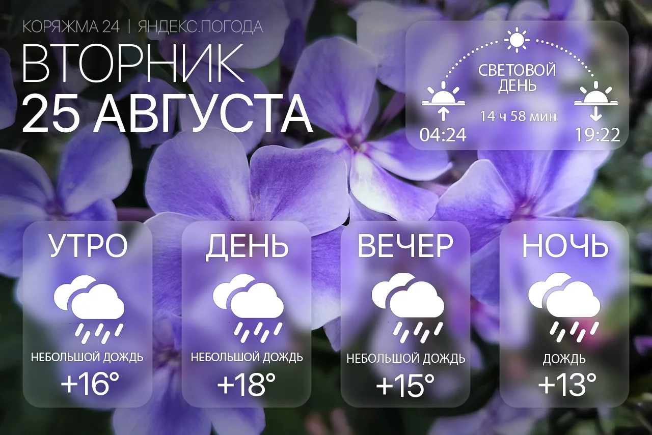 Доброе утро, Коряжма! 🌧