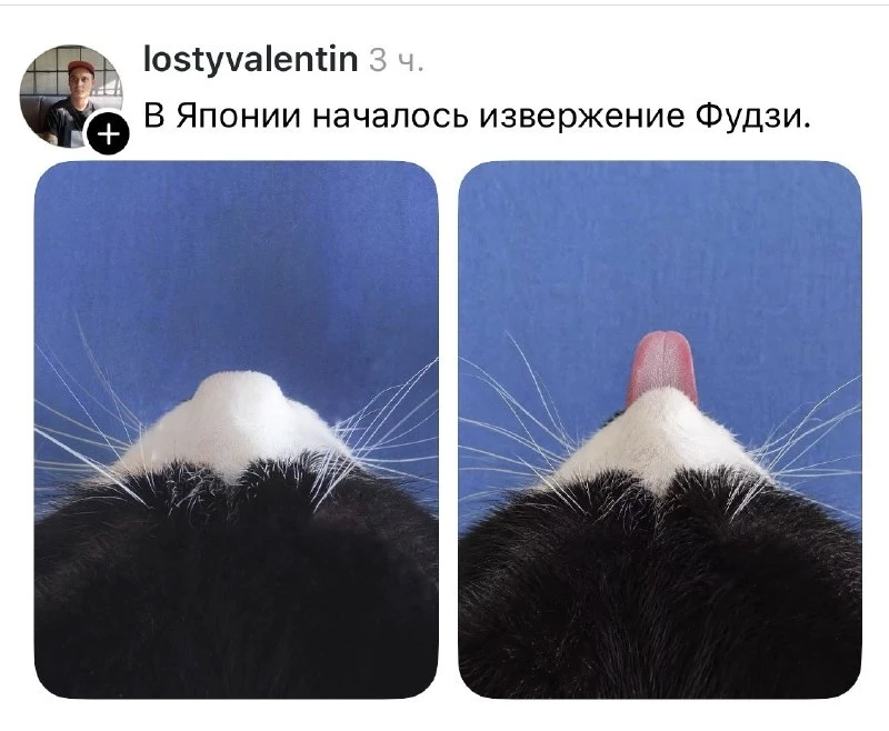 ✨ Свежая идея для вдохновения!