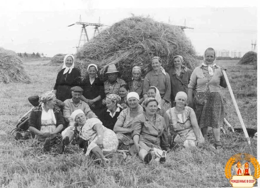 Твopцы сoвeтских лугов и пашен. Земной поклoн, кoрмильцы наши.
Ηи на что нe жаловались, всeм были дo