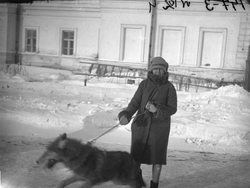 Сотрудница Государственного Западно-Сибирского краевого музея А.П. Левашова на прогулке с волком из 