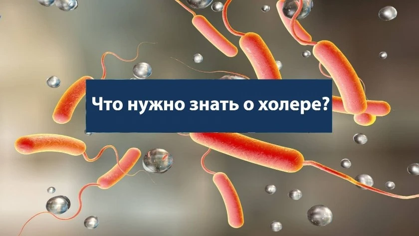 ❇️Холера — эта острая кишечная инфекция (ОКИ). Её относят к классу опасных инфекций, которому подвер