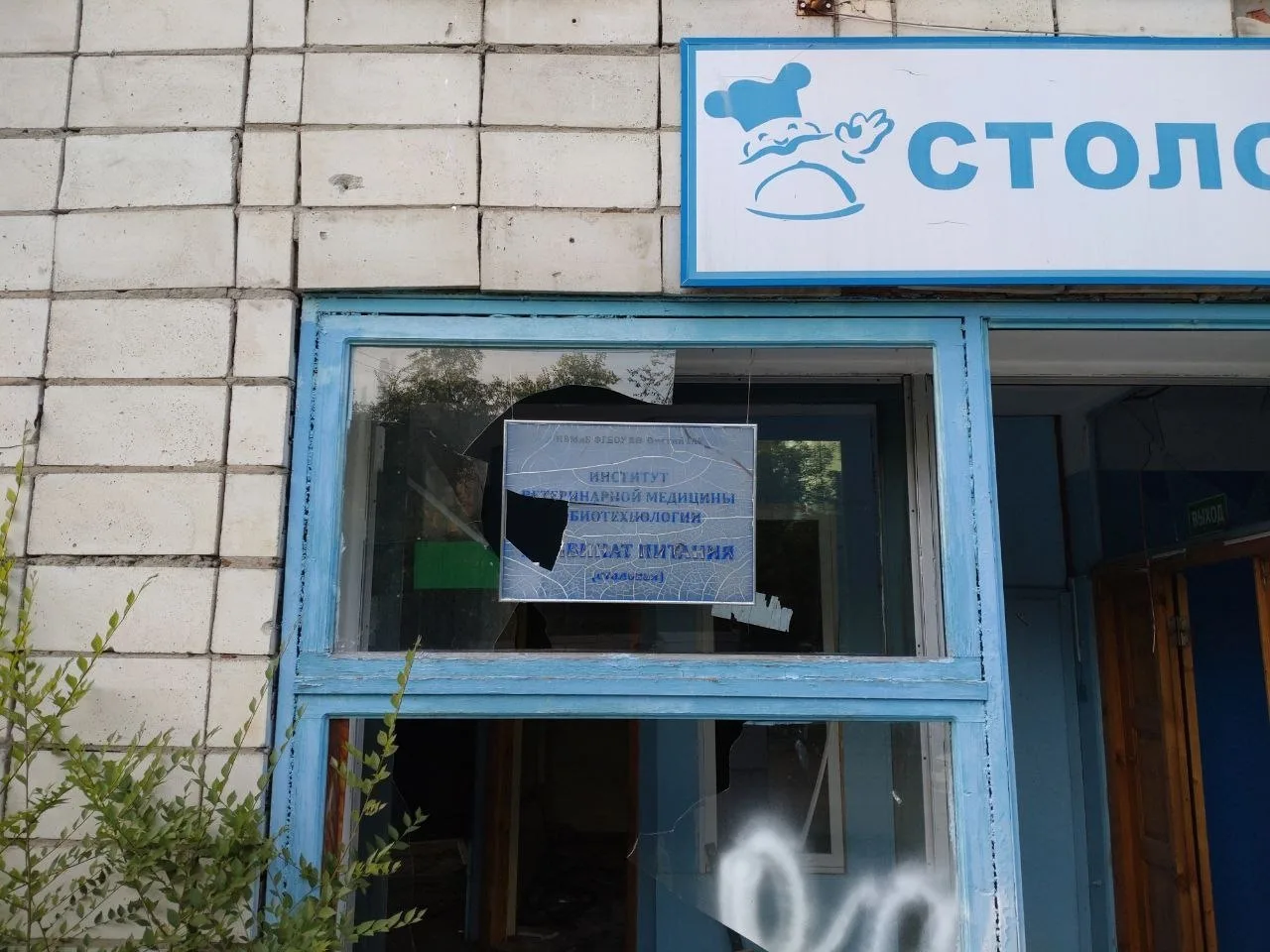 В центре Омска продолжают ветшать бесхозные здания ветеринарного института

С каждым годом заброшки 