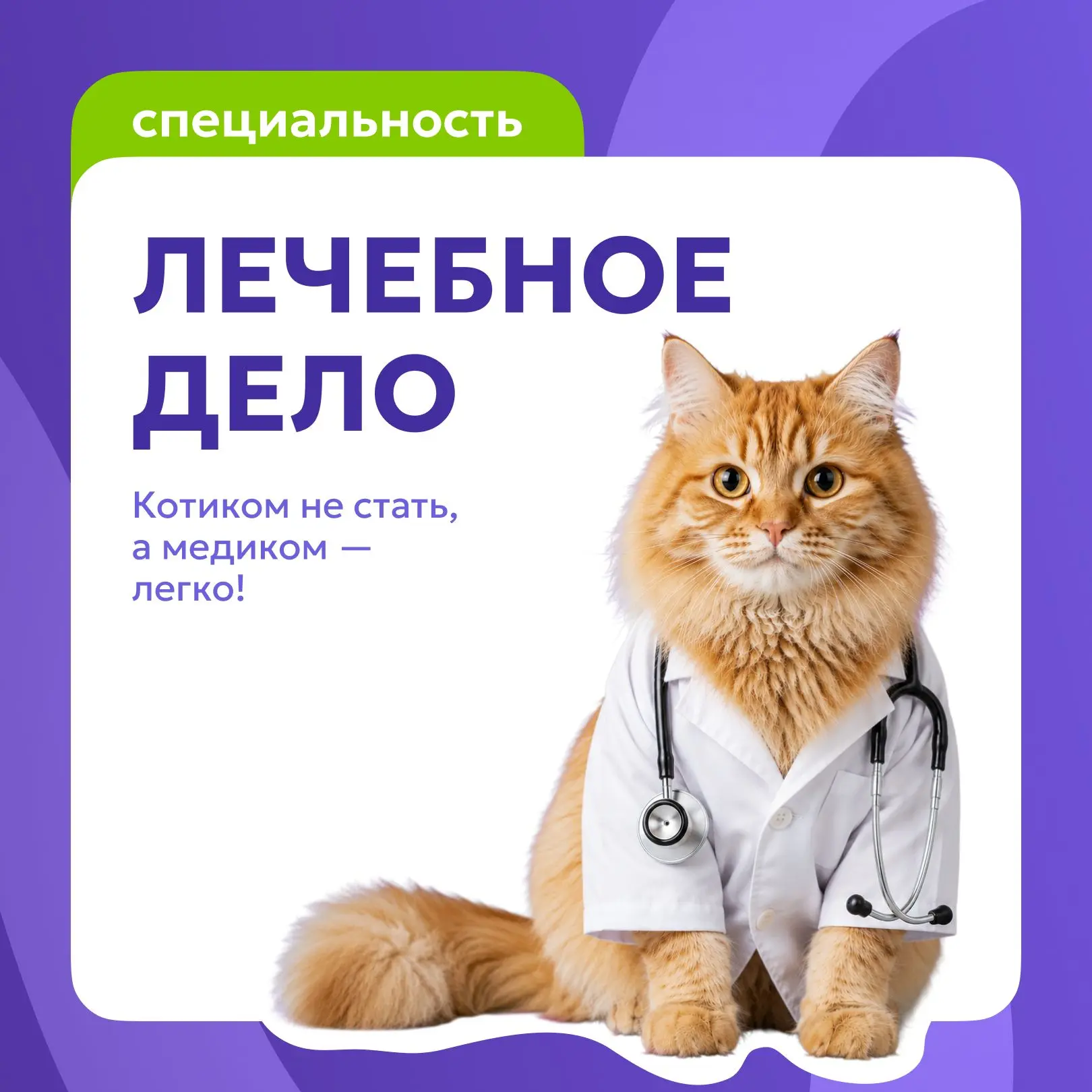 🩺 Лечебное дело в колледже ЮМЕД: профессия для тех, кто готов помогать первым

Программа СПО «Лечеб