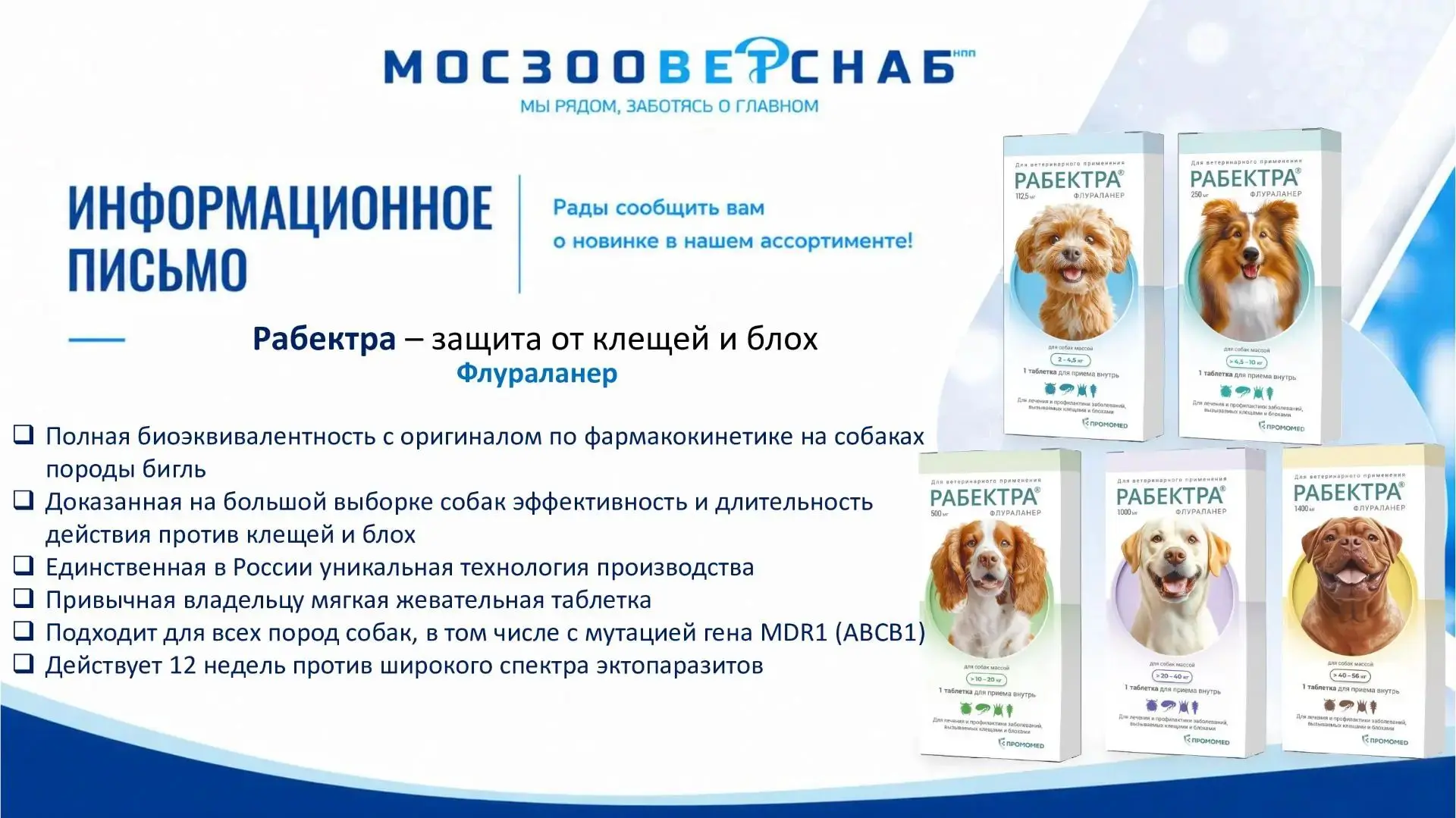 🐶 РАБЕКТРА® — защита собак от клещей и блох на 12 недель!