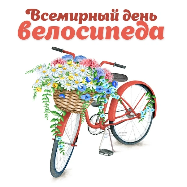 Вчера в нашем детском саду прошел День велосипеда. 🚲
Ребята 👧👦младшей, средней, старших и подгото