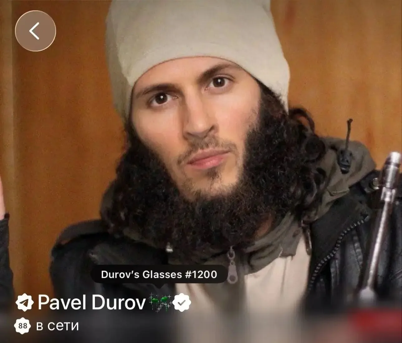 Усё, доигралси 

Павел Дуров внесен в реестр экстремистов и террористов Росфинмониторинга.