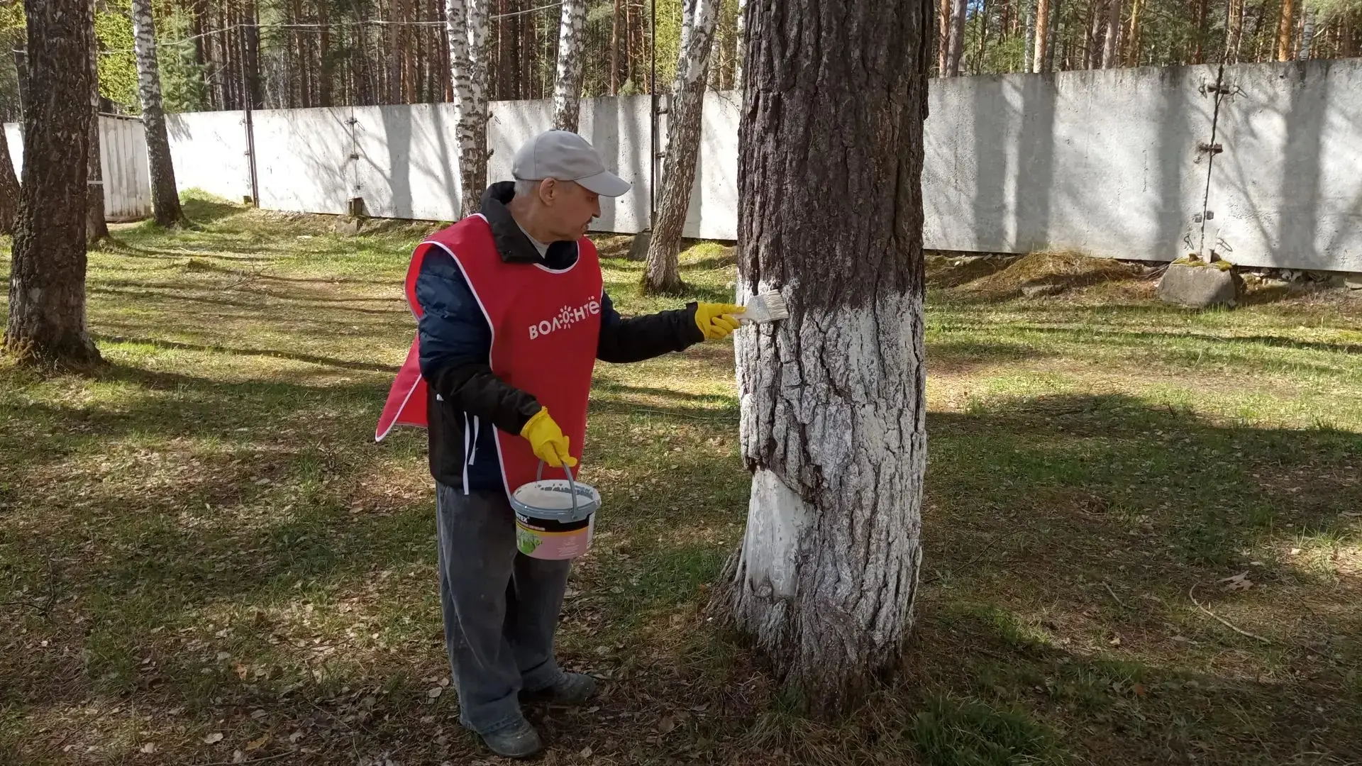 С наступлением весенних дней началась активная подготовка к садовому сезону. Мы приступ...