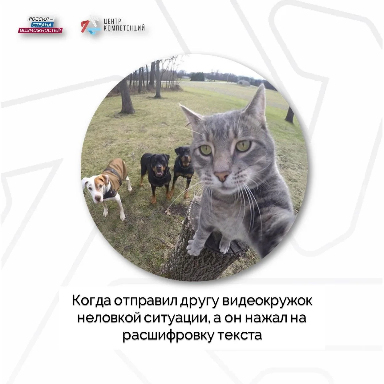 Больше никаких «что он сказал?» в студенческих чатах 

МАКС теперь расшифровывает видеокружки и голо