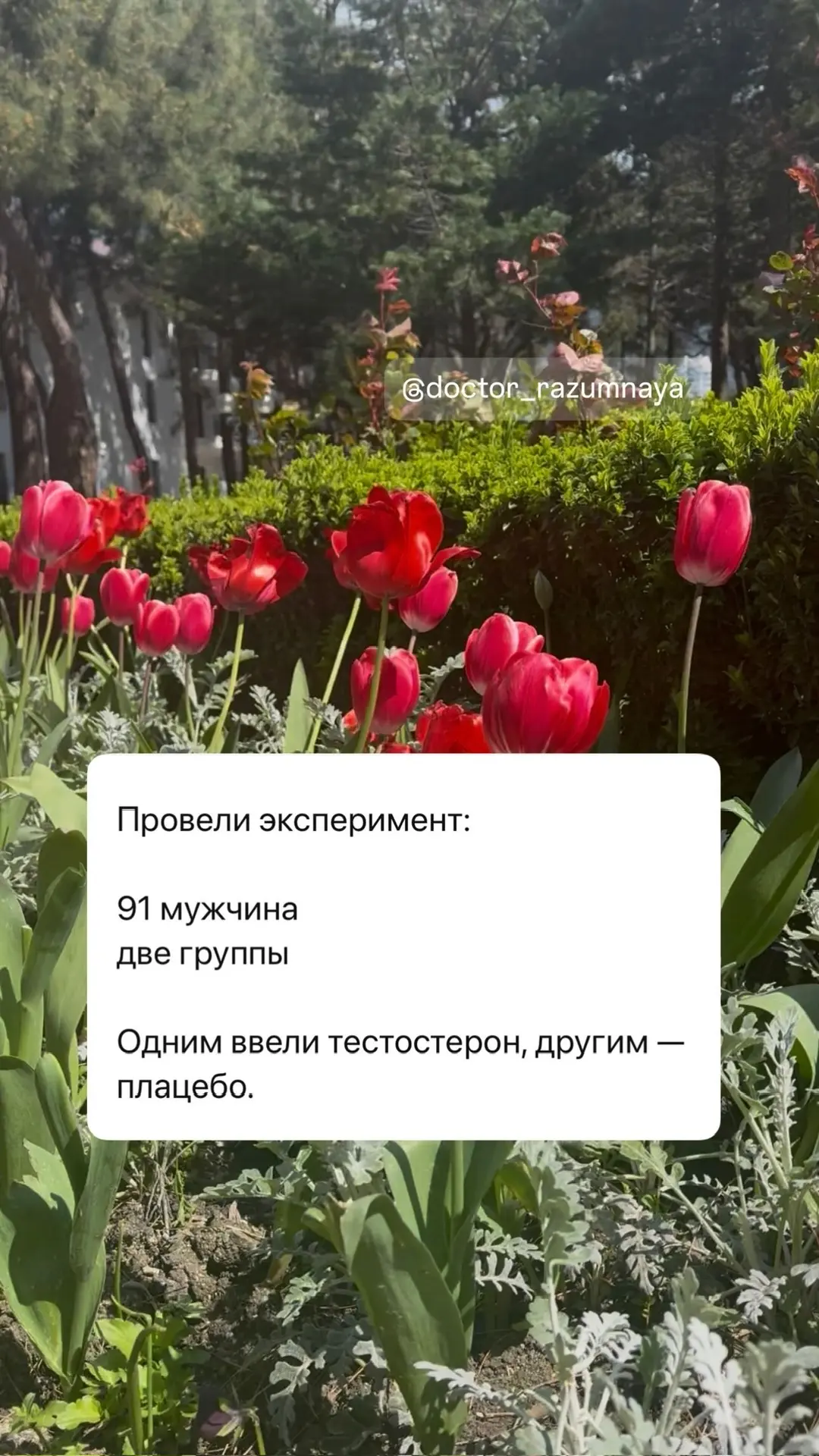 😎тестостероновые мужчины врут реже …  Тест + Методичка «Тестостерон» для женщин 👉👉https://taplink.cc