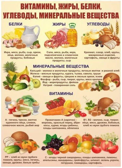 🥦🍎🥜Здоровое питание залог здоровья