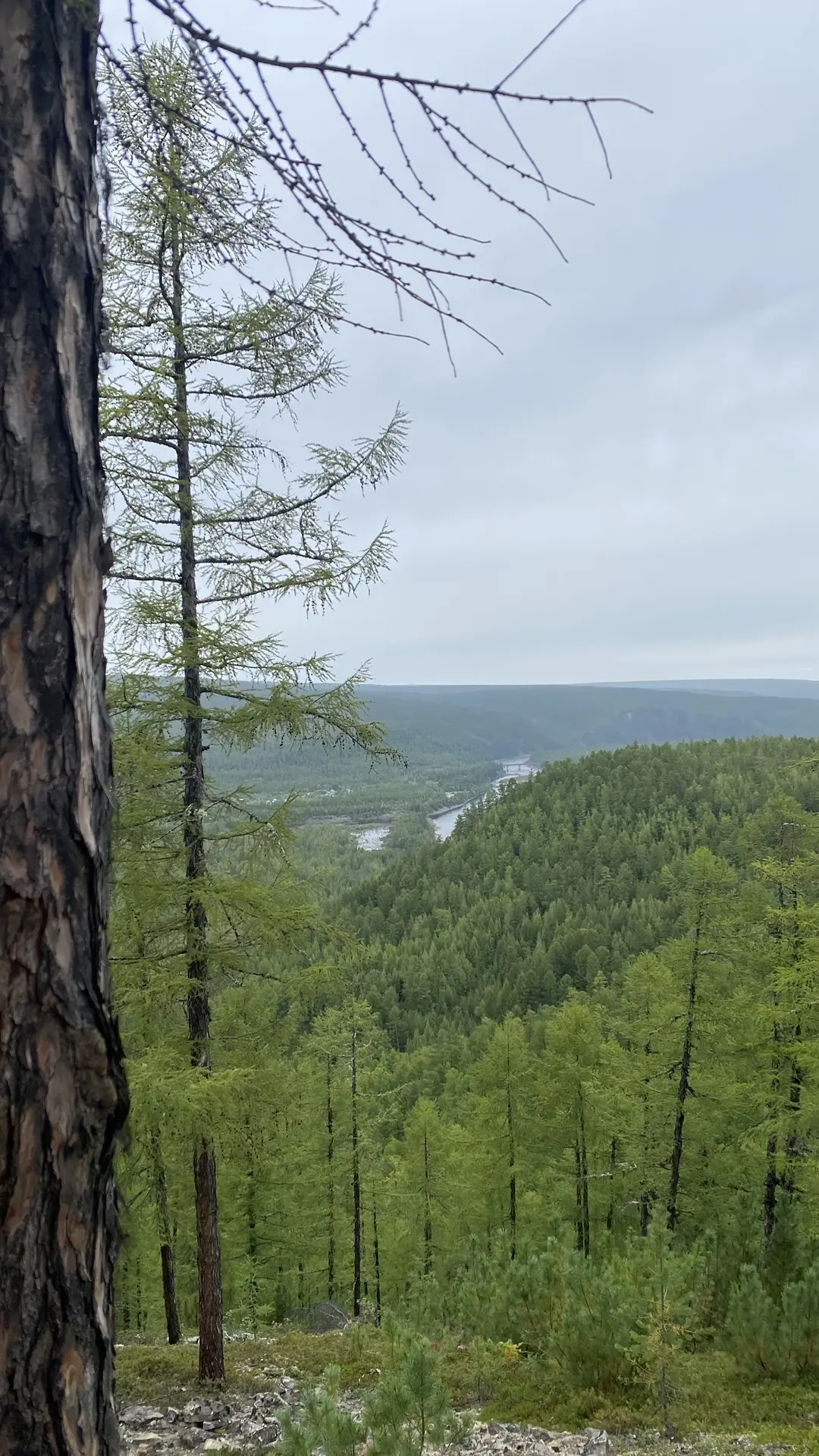 Добрый день, любимый город 🏙️