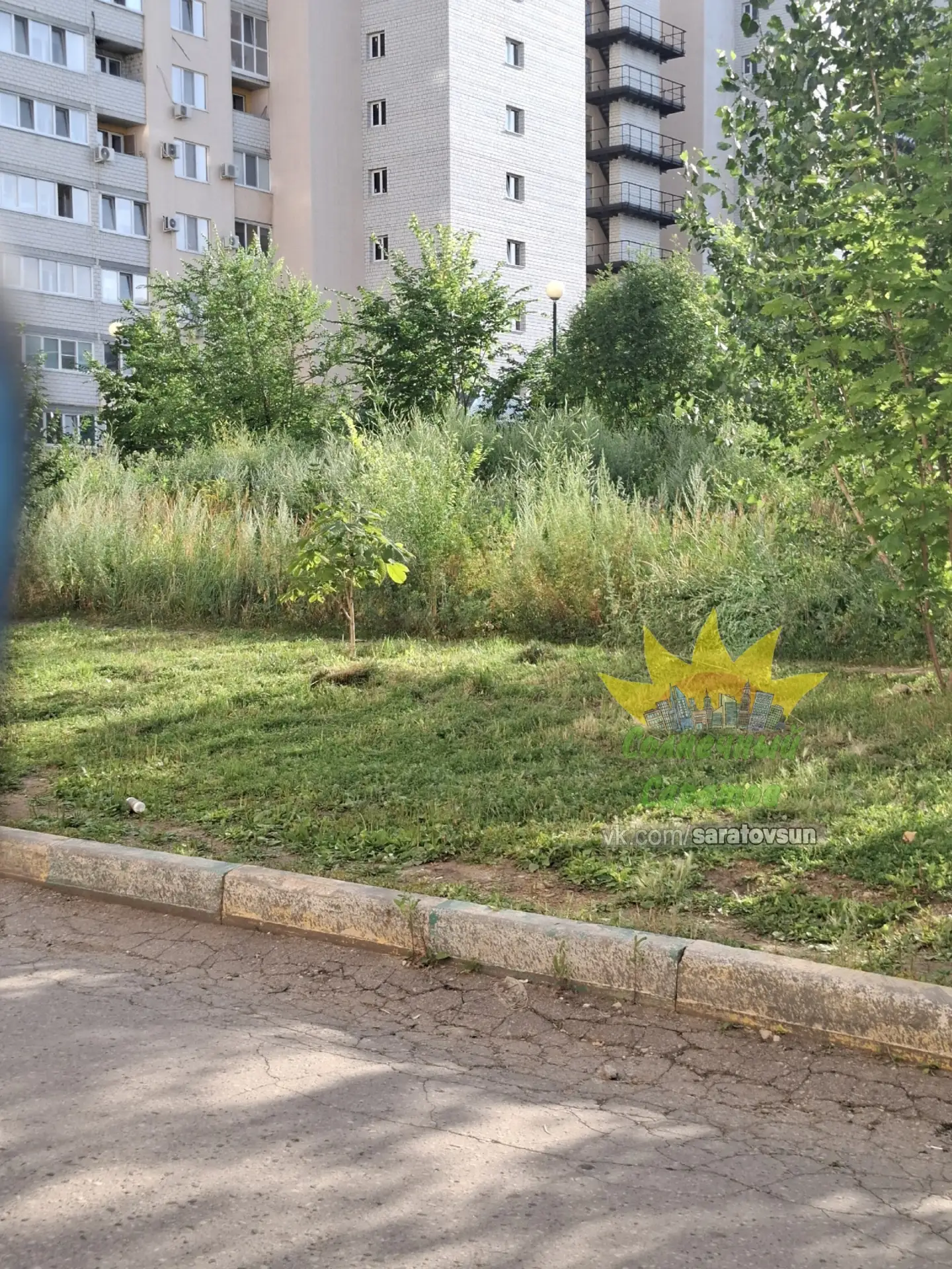 У садика капельки солнца по улице Лисина трава с человеческий рост,  уважаемая Админист...