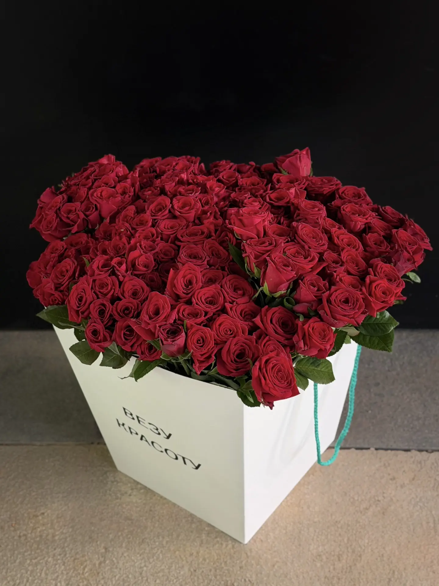 Встретили свежую поставку шикарных красных роз 🌹