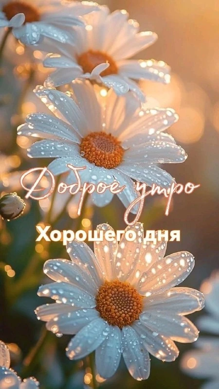 Открытки: подписаться ❤️