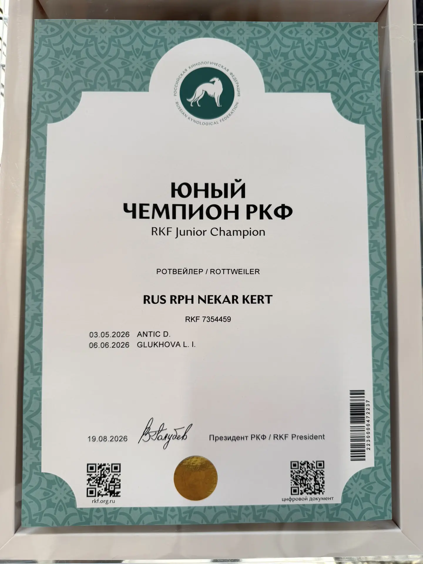 Изображение 2 к публикации «Irina_kuznecova18»