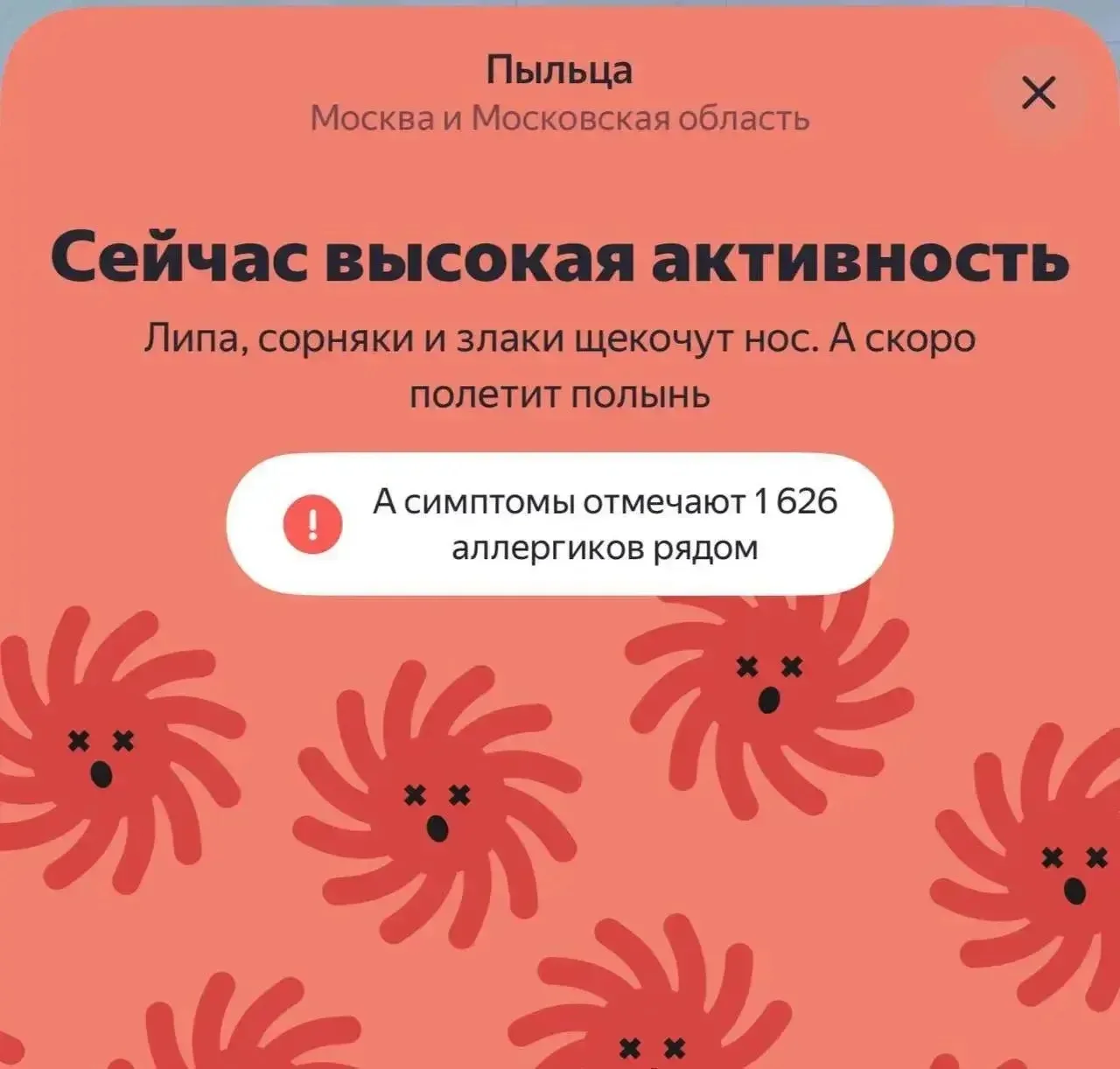 🤧 В Москве сейчас высокая активность пыльцы
