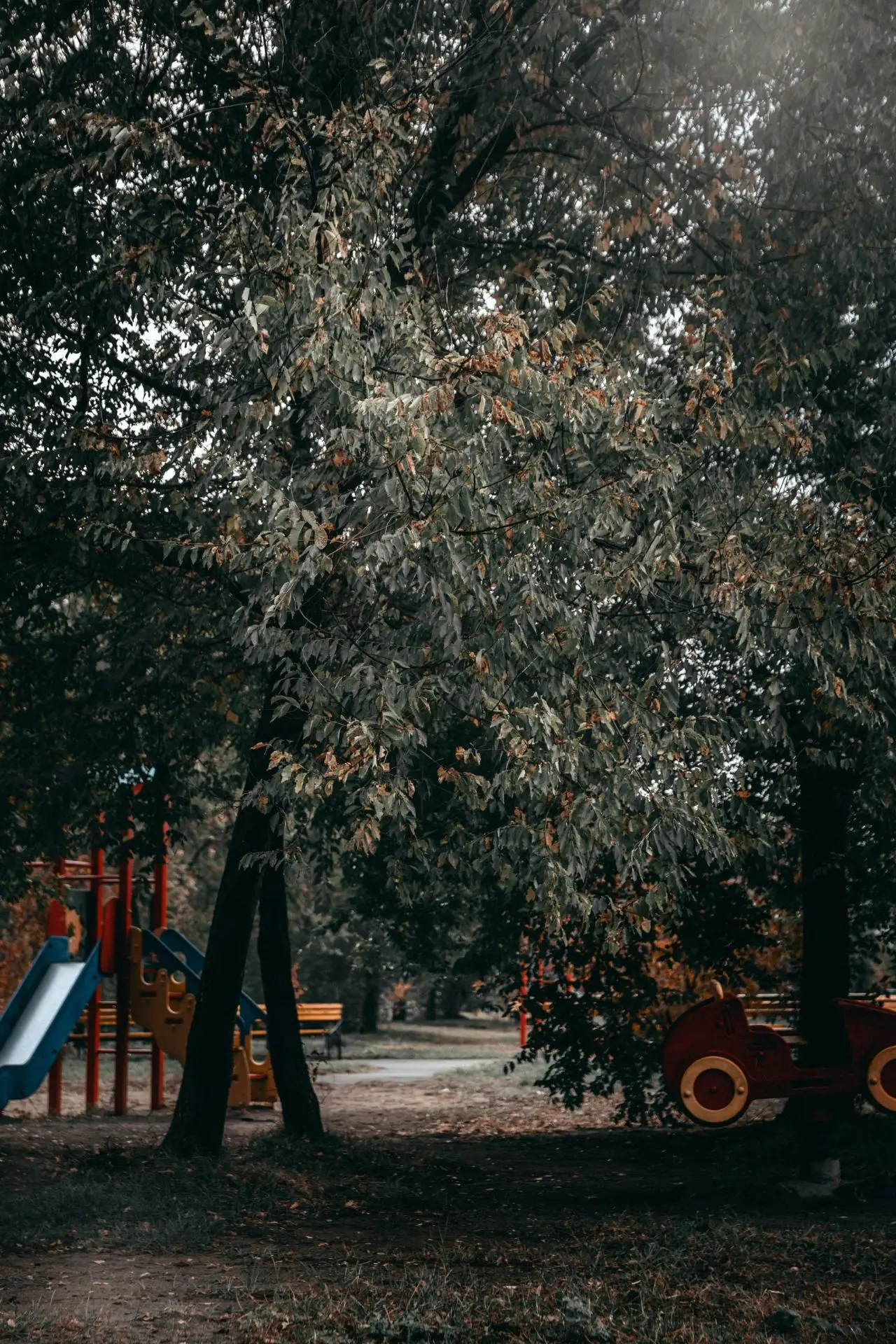 Фото