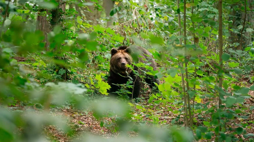 Уважаемые жители Металлурговского ТО.