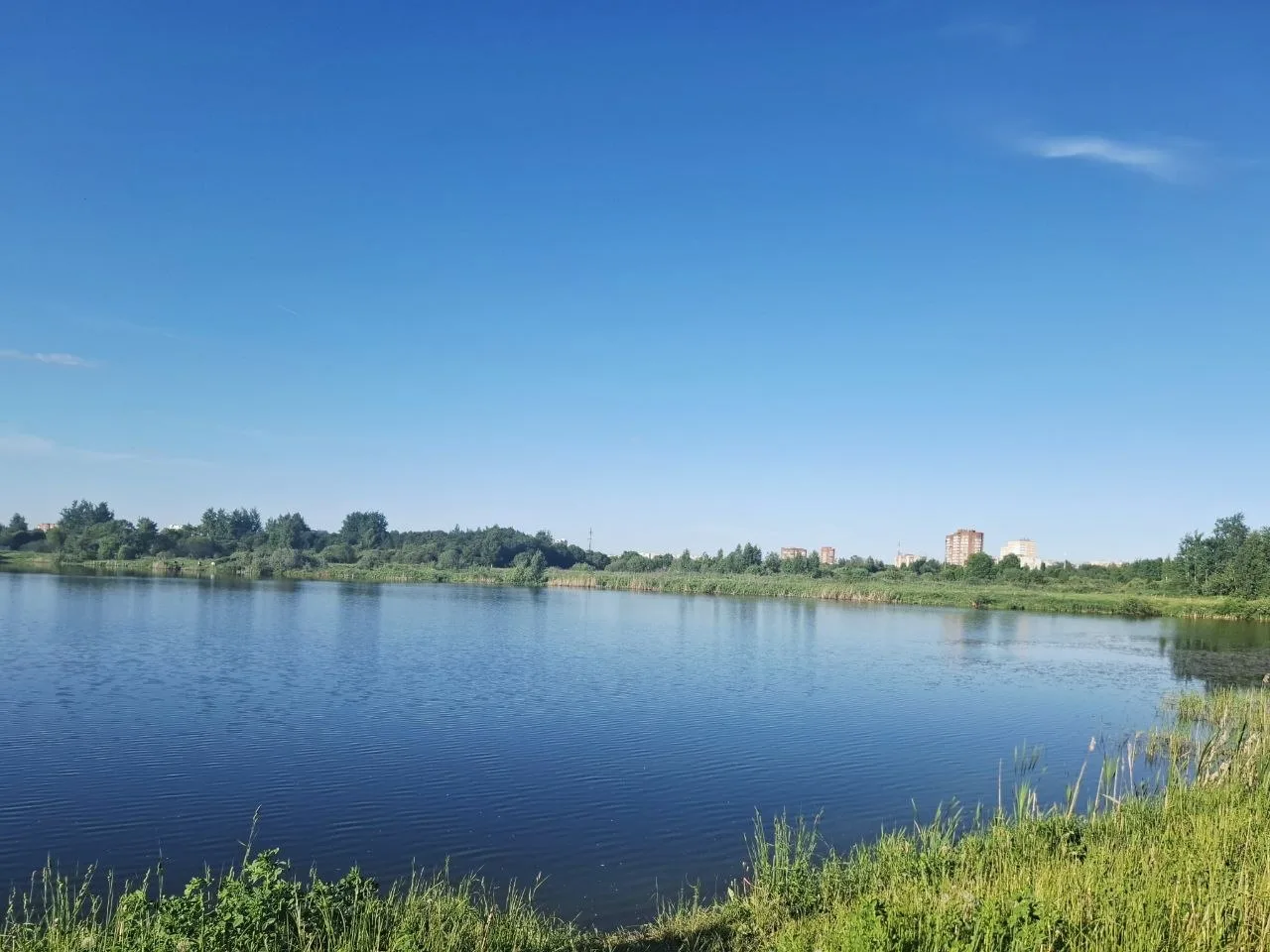 Лето у воды. Брагинский карьер 😌