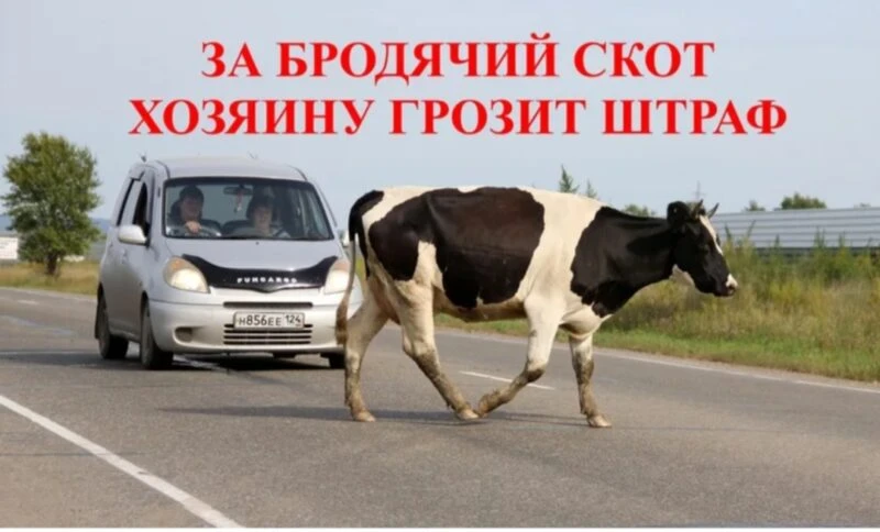 Во всех населенных пунктах района приняты правила по обеспечению чистоты, порядка и благоустройства: