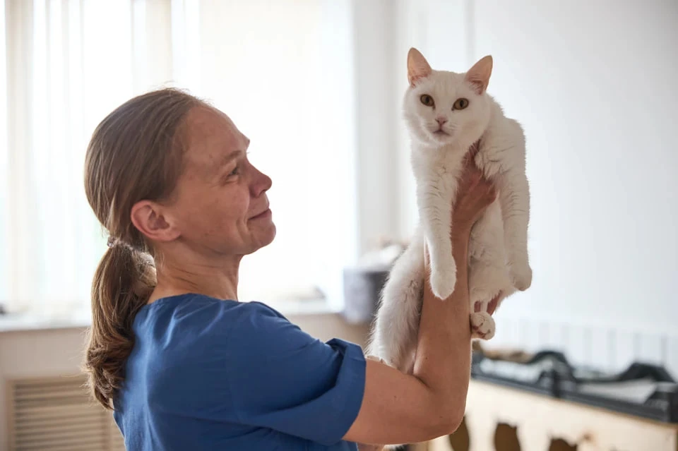 🐾 Успейте сказать спасибо: остались считанные дни, чтобы выбрать лучшую ветеринарную к...
