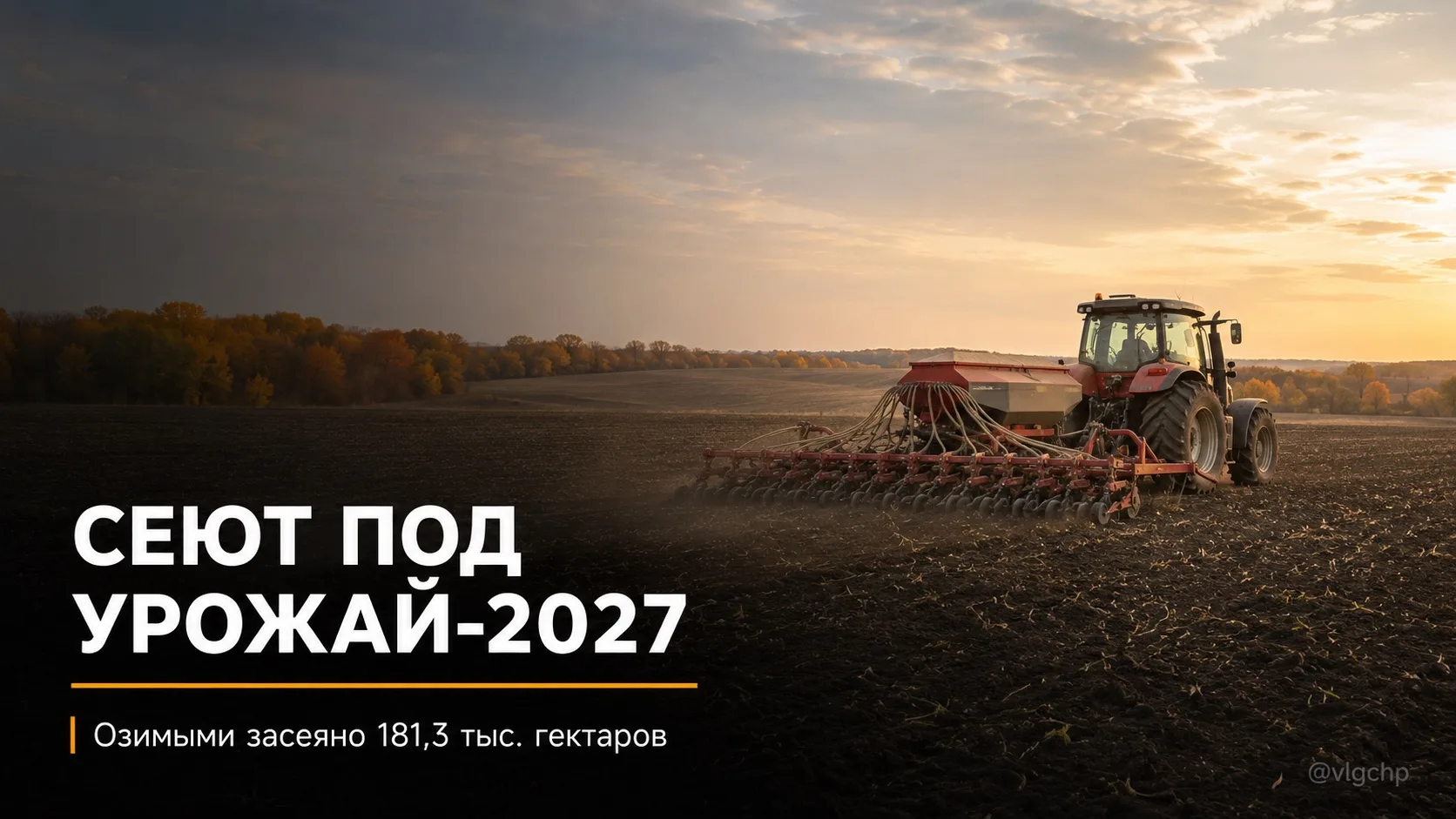 🌾 В Волгоградской области стартовал сев озимых под урожай 2027 года. К 3 сентября засе...