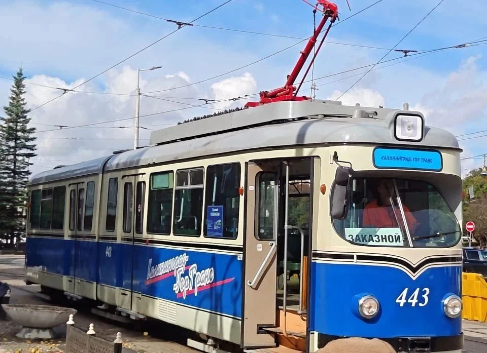 История оживает под звон трамвая! 🚋