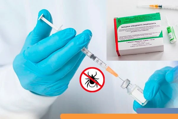 ВАКЦИНАЦИЯ ПРОТИВ КЛЕЩЕВОГО ЭНЦЕФАЛИТА
