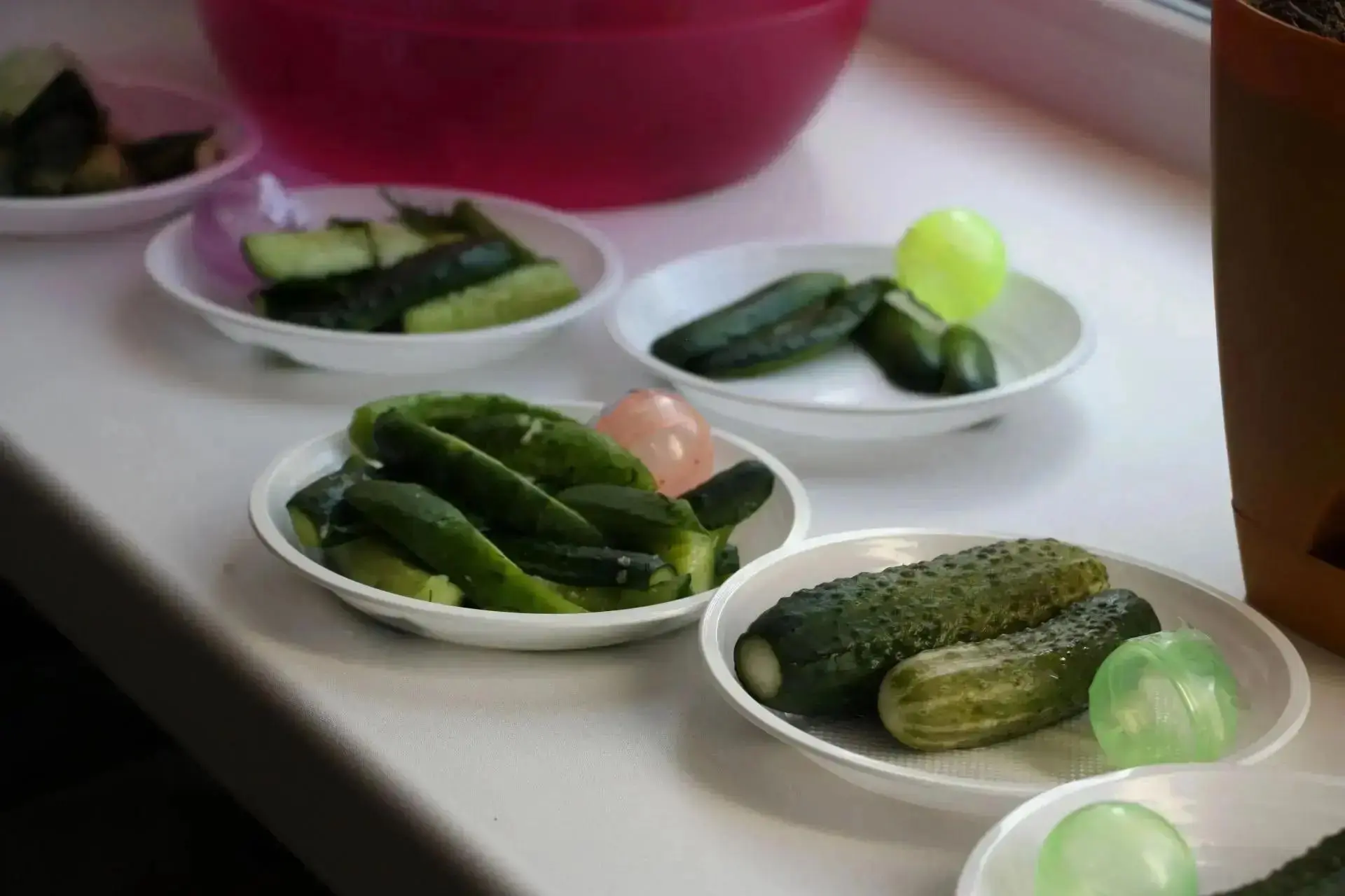 🥒Праздник малосольного огурчика прошел в ЕАО
