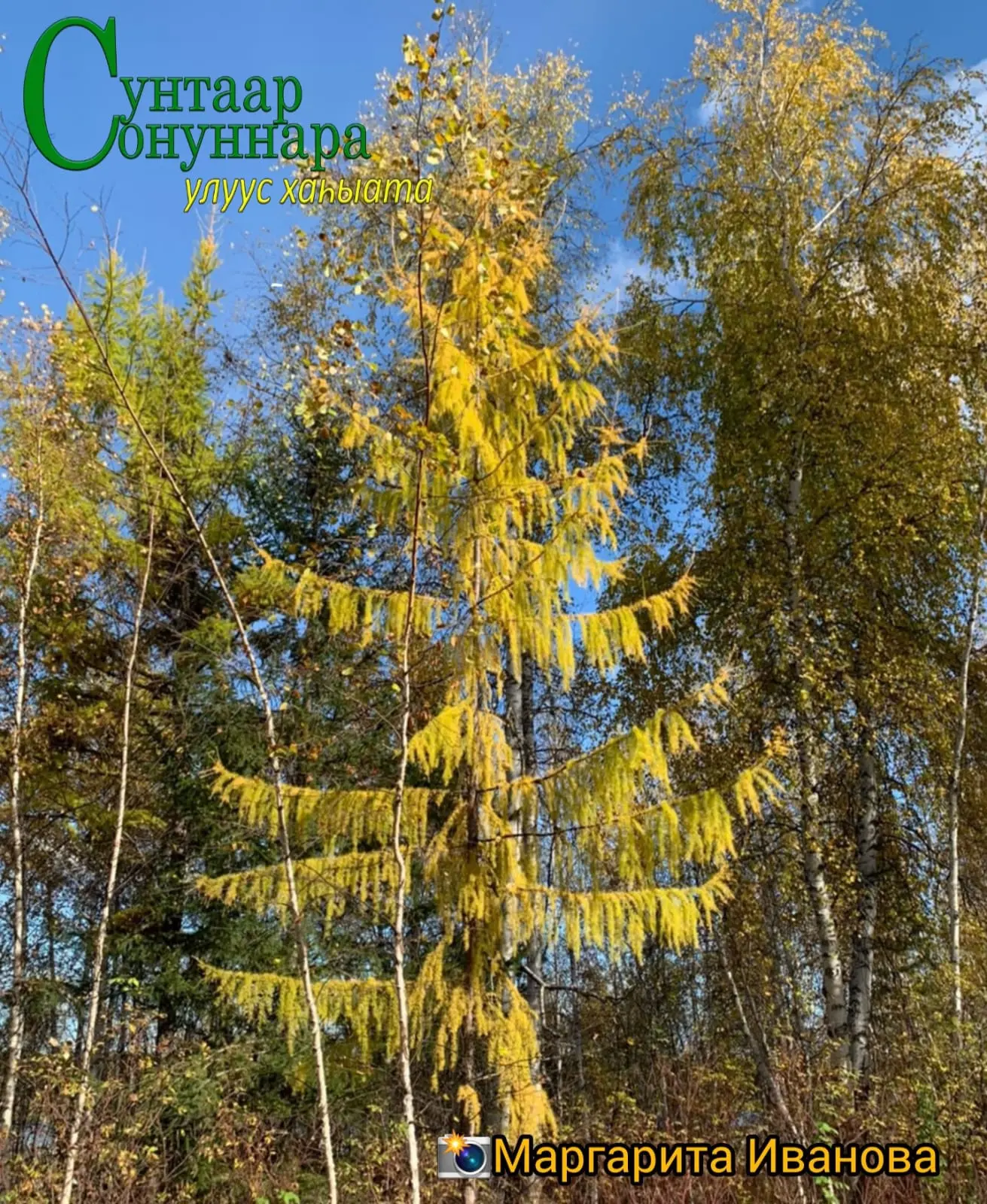⛅️ Бүгүн, алтынньы 4 күнүгэр, хотугулуу-арҕааттан сөк. 1-4м. түргэннээх тыаллаах. ⛅