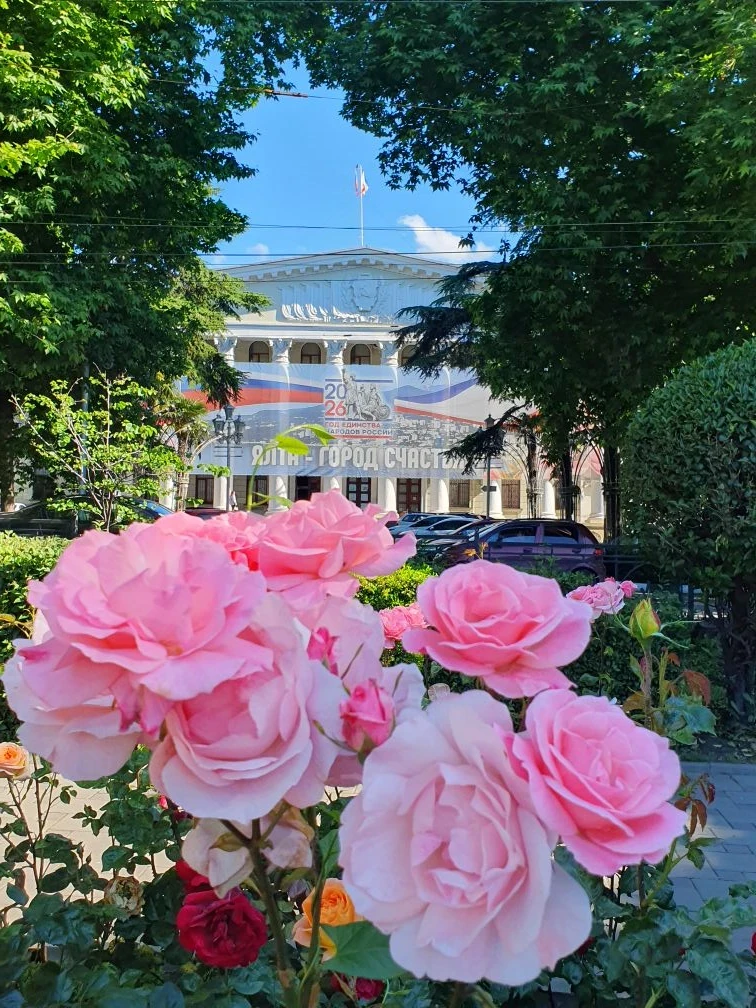 С добрым утром, дорогие!🌹🌹🌹Разбавим понедельник красками ялтинских роз! Нашему городу эта королев