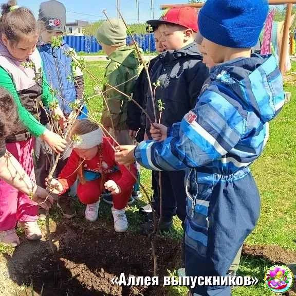 Традиция, которая растет вместе с нами!

В нашем детском саду прошла замечательная, уже традиционная
